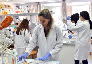 Bir üreticinin hasadı durduruldu, dört ürün imha edildi
