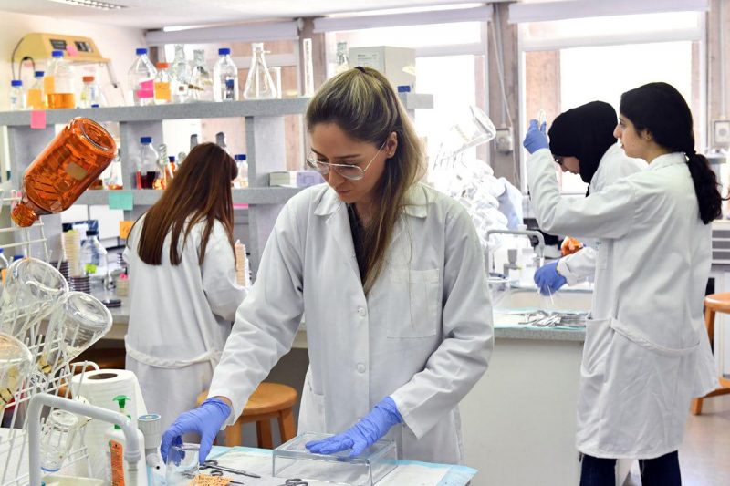 Bir üreticinin hasadı durduruldu, dört ürün imha edildi