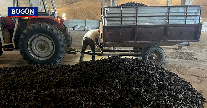 Binboğa’dan harnup alım fiyatı açıklaması: 22 TL/kg