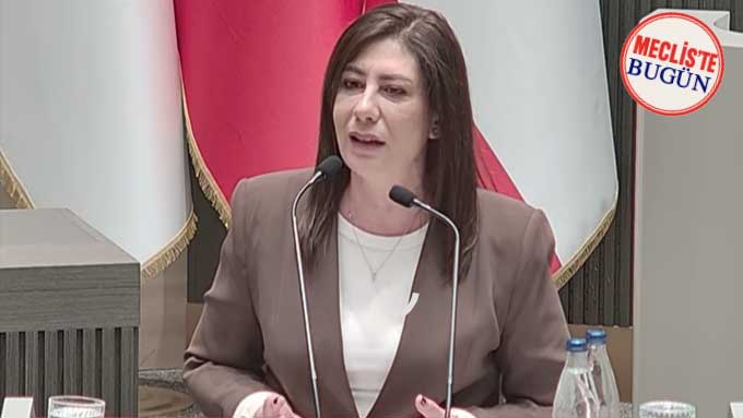 İncirli: “Gazeteciliği suç haline getiren yasa kabul edilemez”