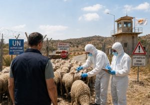 Güneyden şap krizinde sert adım: Kuzeyden hayvan geçişine 10 yıl hapis!