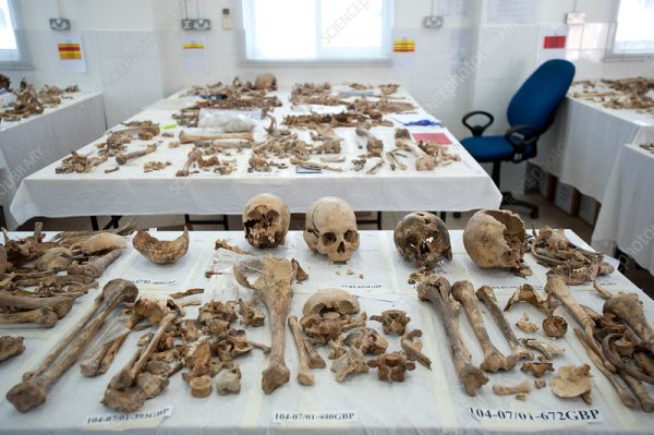 Kayıplar dosyasında yeni veri: 1.100 kişinin kemikleri kimliklendirildi