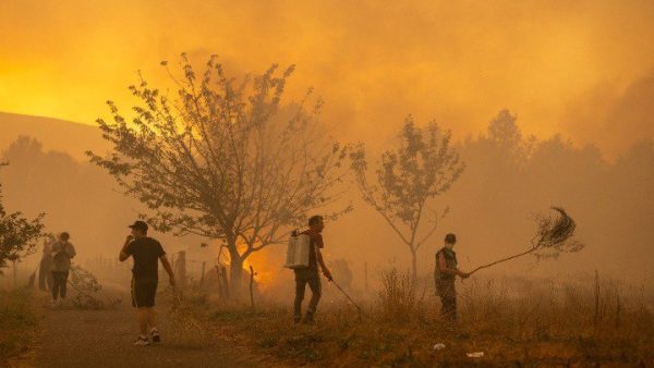 Fransa ve İspanya’da yangınlar kontrolden çıktı: 200 bin kişi tahliye edildi