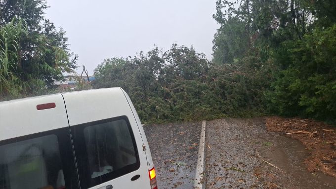 Fırtınada tarihi rekor: Gemikonağı’nda rüzgar 182 kilometreye ulaştı