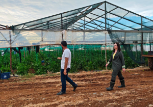 İncirli fırtınanın vurduğu Lefke ve Güzelyurt’ta: Zararlar hızla tazmin edilmeli
