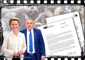 Von der Leyen: “Kuzeydeki hayvancılara AB tarım fonundan ödeme yapılmadı”