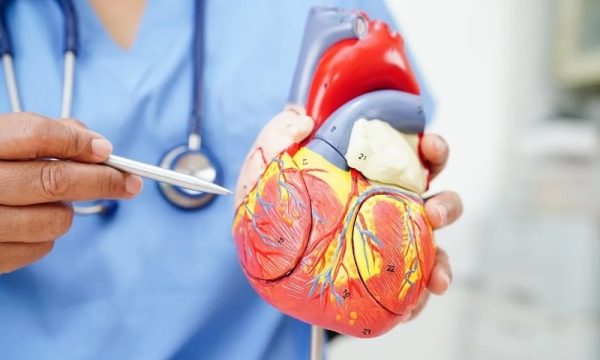 Kıbrıs’ta her üç kişiden biri kalp-damar hastalıklarından ölme riski taşıyor