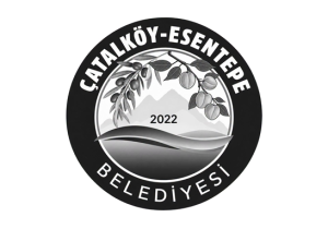 14. Beşparmaklar Kültür Sanat Günleri gemi faciası nedeniyle ertelendi
