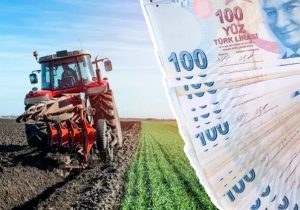 Zahire üreticisine gübre desteği: Faizin 31 puanı devletten