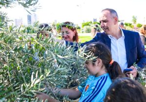 Kızılbaş Parkı’nda 120 öğrenci zeytin topladı, çakıstes yaptı